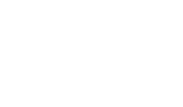 Nexus One Logo